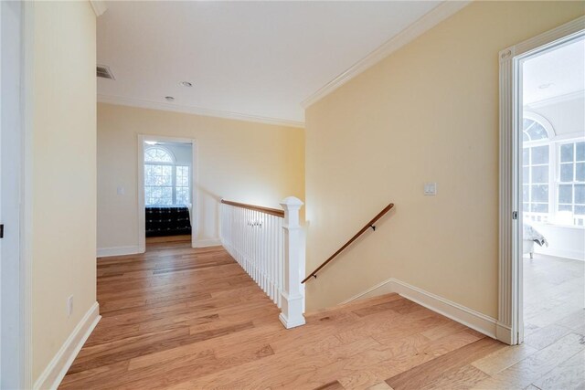 hall featuring crown molding and light hardwood / wood-style floors