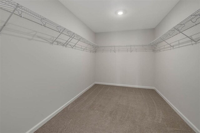 10016 Woodland Cv, Brunswick, GA 31525 - photo 12
