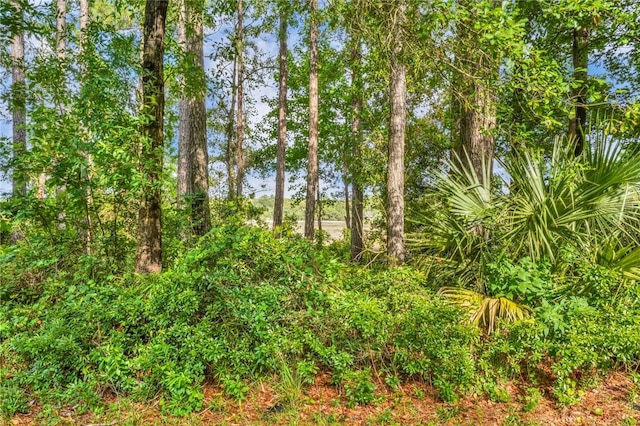 Listing photo 3 for LOT11TRANQUILITY Baker Island Way, Townsend GA 31331