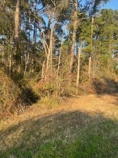 0 Kendallwood Dr, GA, 31768 land for sale