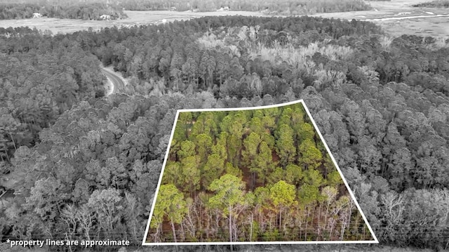 LOT83 Fiddlers Cv NE, Townsend, GA 31331 - photo 14
