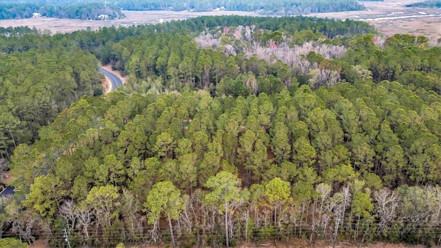 LOT83 Fiddlers Cv NE, Townsend, GA 31331 - photo 3