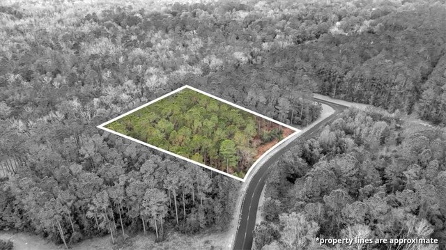 LOT83 Fiddlers Cv NE, Townsend, GA 31331 - photo 13