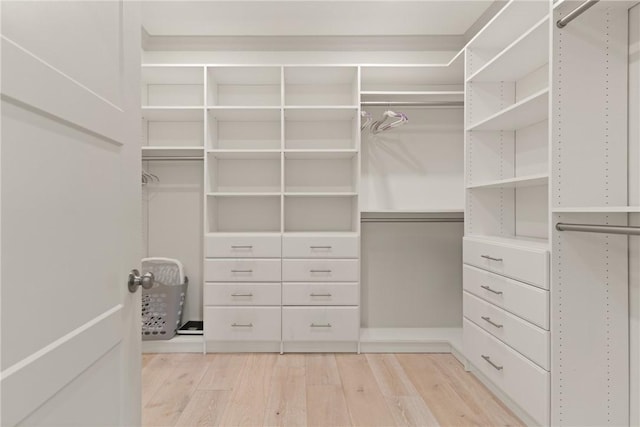 spacious closet featuring light wood-style flooring