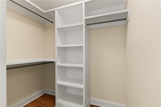 spacious closet featuring dark wood-type flooring