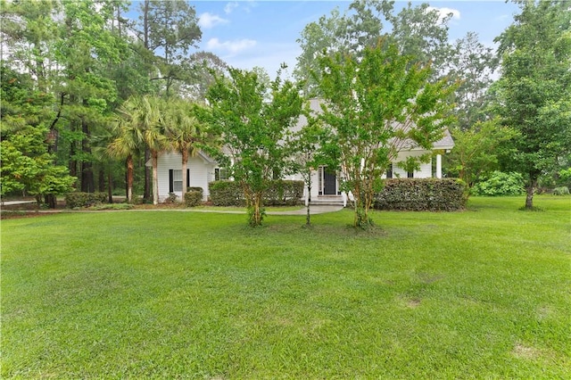 view of grassy yard