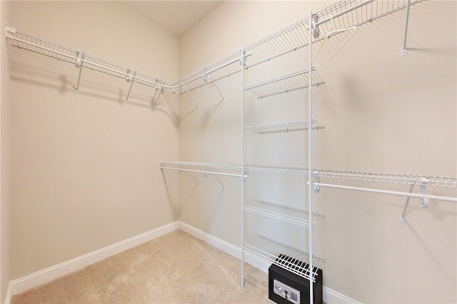 550 Freedom Trl, Brunswick, GA 31525 - spacious closet featuring carpet floors