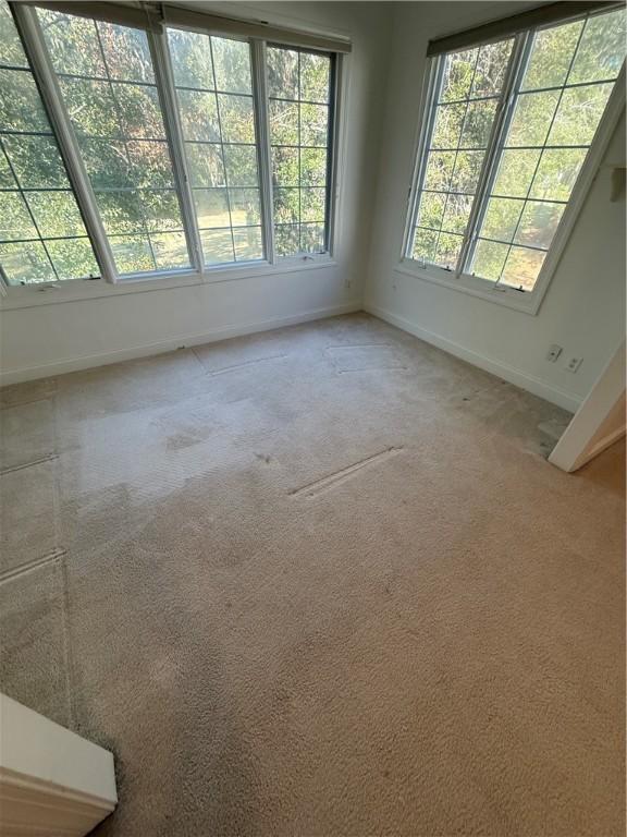 unfurnished room featuring carpet floors