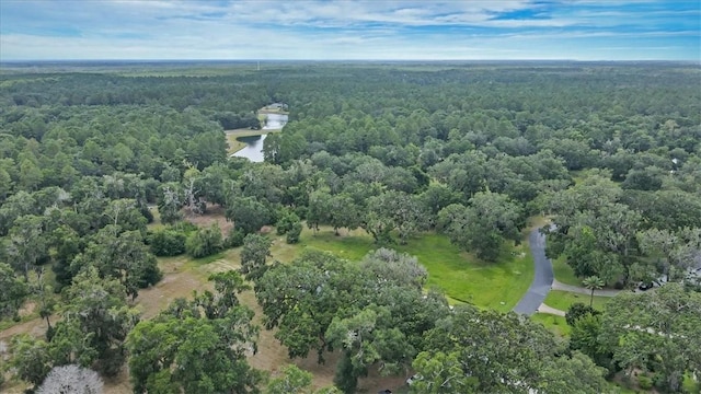 2454 Coopers Point Dr NE, Townsend, GA 31331 - photo 35