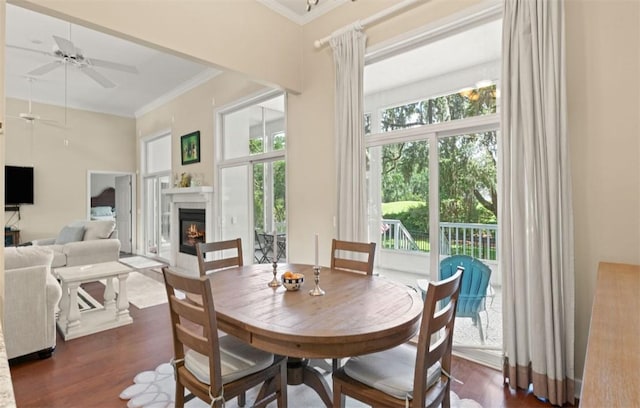 704 Dungeness, Saint Simons Island, GA 31522 - dining space featuring plenty of natural light, crown molding, a glass covered fireplace, dark wood-type flooring, and ceiling fan