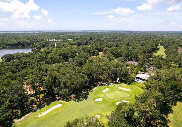 704 Dungeness, Saint Simons Island, GA 31522 - drone / aerial view of a golf course and a nearby body of water