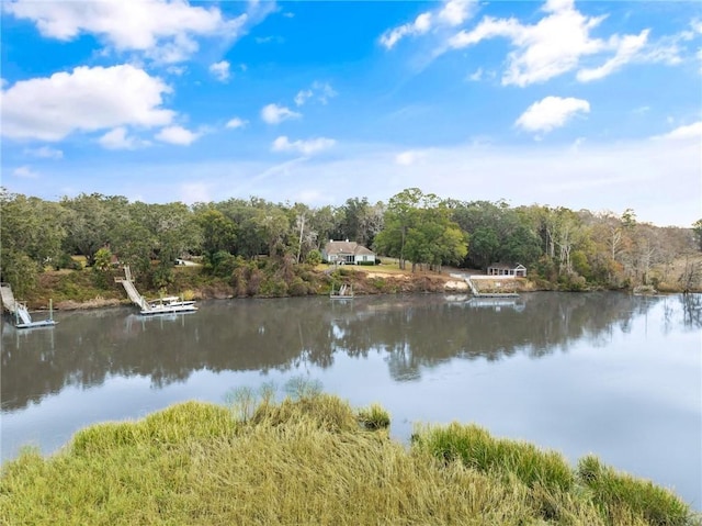 water view with a dock