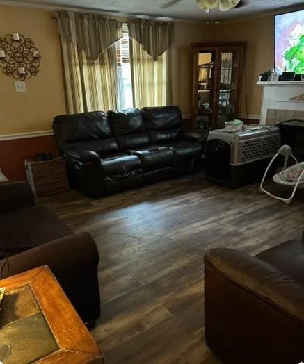 living room featuring ceiling fan and dark hardwood / wood-style flooring