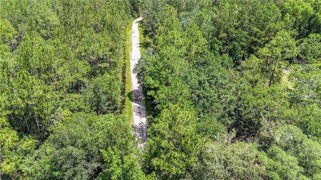 0 Brewton Rd, Folkston, GA 31537