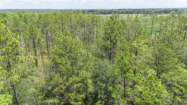0 Brewton Rd, Folkston, GA 31537
