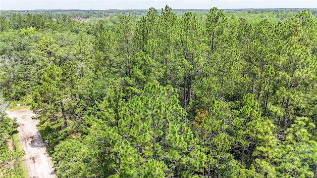 0 Brewton Rd, Folkston, GA 31537