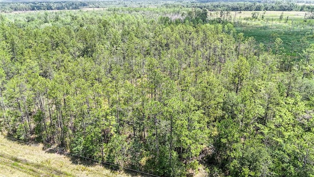 0 Brewton Rd, Folkston, GA 31537