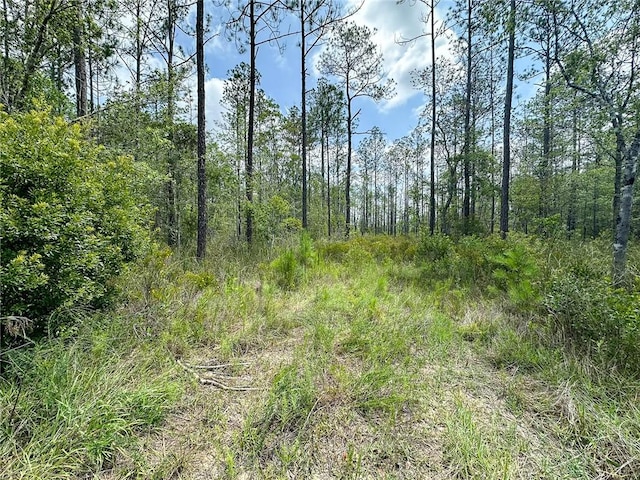 0 Brewton Rd, Folkston, GA 31537