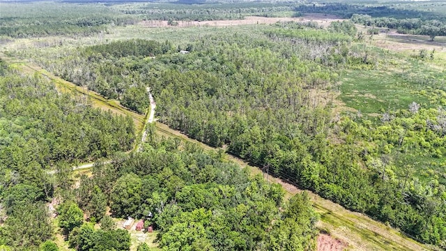 0 Brewton Rd, Folkston, GA 31537