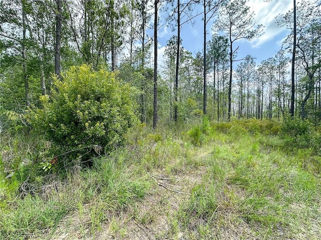 0 Brewton Rd, Folkston, GA 31537