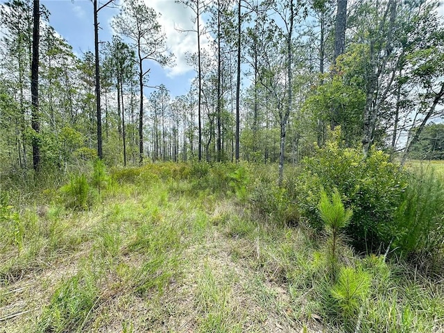 0 Brewton Rd, Folkston, GA 31537