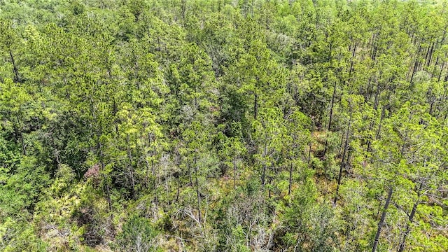 0 Brewton Rd, Folkston, GA 31537