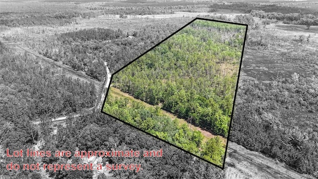 0 Brewton Rd, Folkston, GA 31537