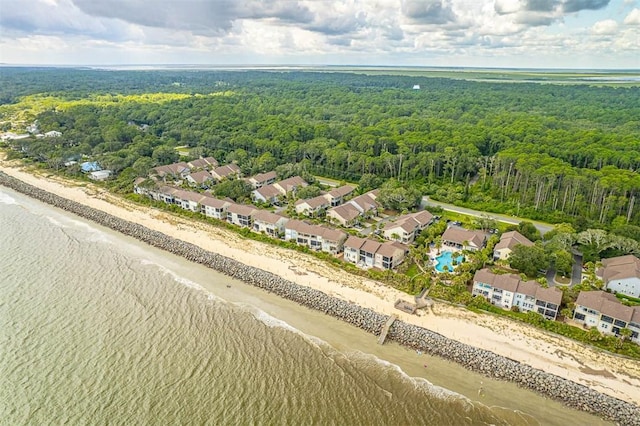 246 Turtle Track Ln, Jekyll Island, GA 31527 - photo 49