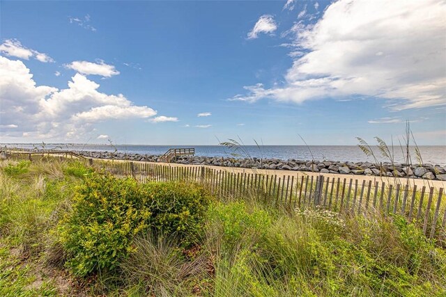 246 Turtle Track Ln, Jekyll Island, GA 31527 - photo 33