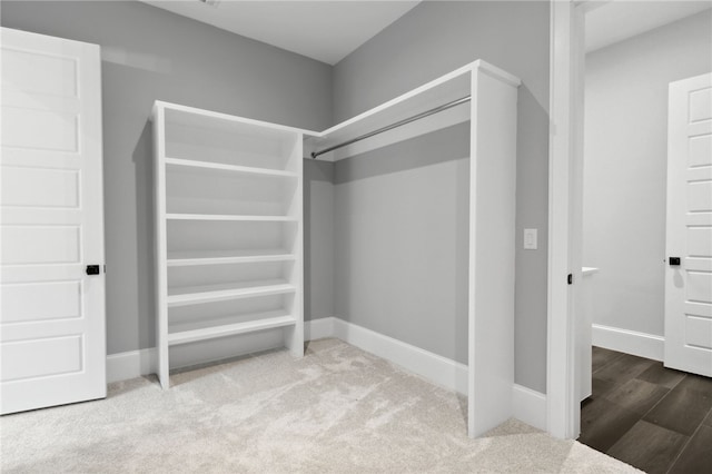 walk in closet featuring carpet