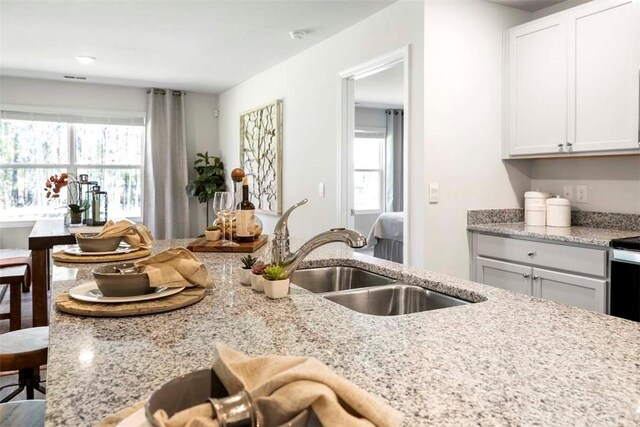 kitchen with white cabinets, plenty of natural light, and sink