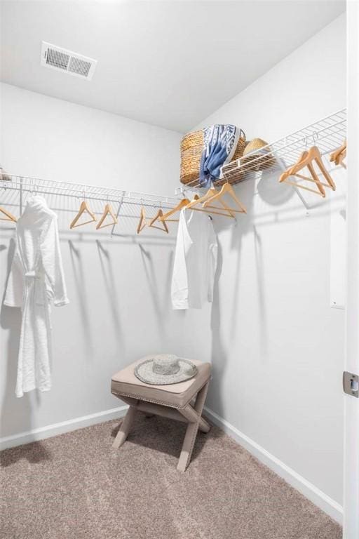 spacious closet with carpet floors