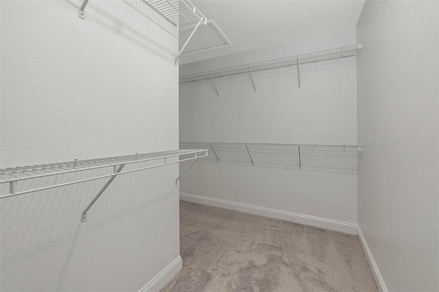 137 Walnut Way, Kingsland, GA 31548 - photo 20