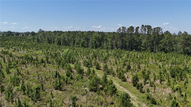 0 Deer Run Rd, Vidalia, GA 30474