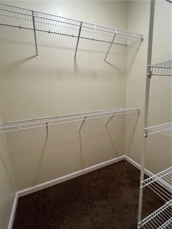 spacious closet with carpet flooring