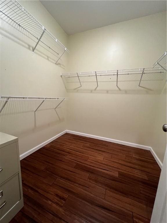 spacious closet featuring dark wood finished floors