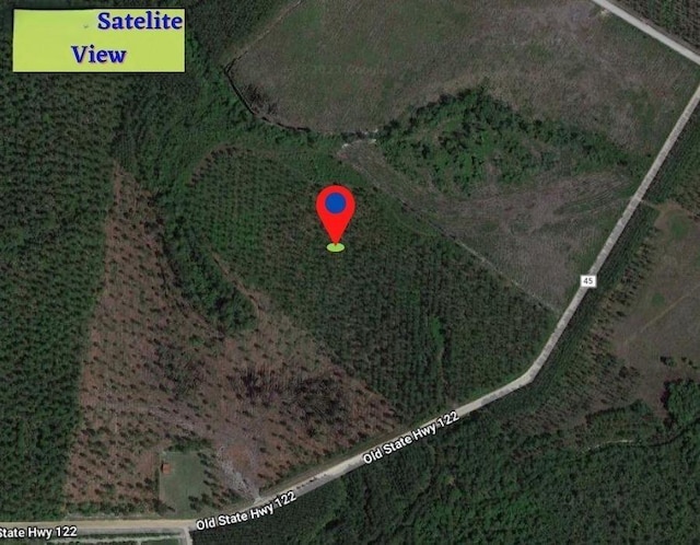 82 W Old 122 Hwy, Manor GA, 31550 land for sale