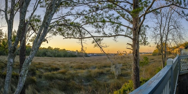 view of nature with a rural view