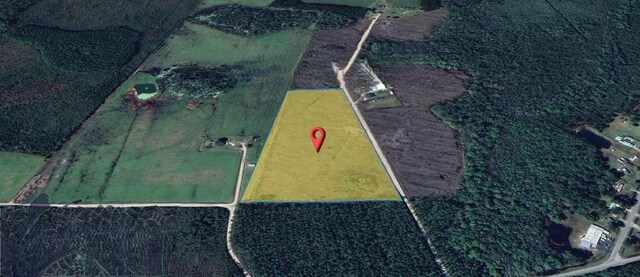 3 Buck Corbitt Rd, Manor, GA 31550