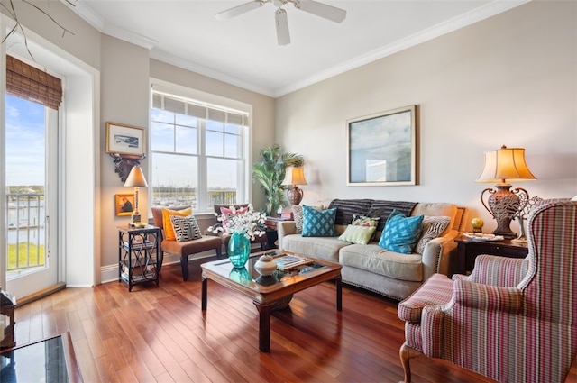 living room with hardwood / wood-style floors, ceiling fan, and crown molding