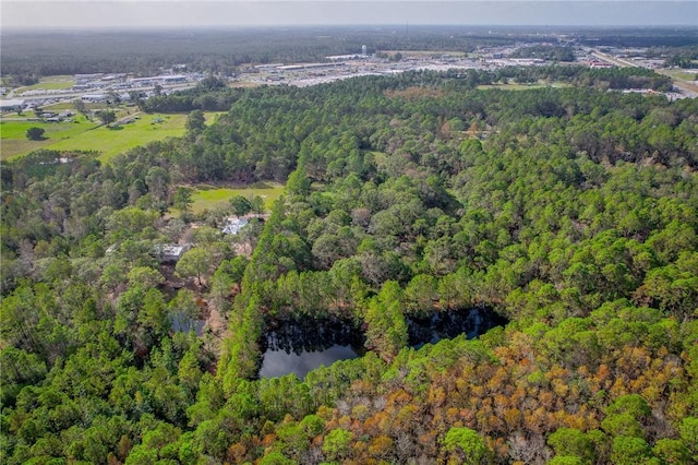 595 Sawdust Trl, Waycross, GA 31503 - photo 12