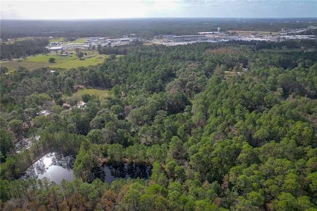 595 Sawdust Trl, Waycross, GA 31503 - photo 17