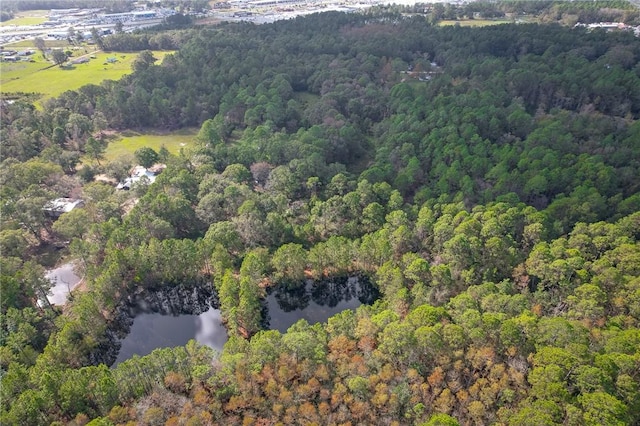 595 Sawdust Trl, Waycross, GA 31503 - photo 20