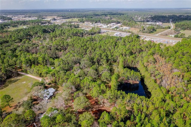 595 Sawdust Trl, Waycross, GA 31503 - photo 11