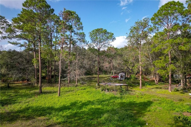 595 Sawdust Trl, Waycross, GA 31503 - photo 10