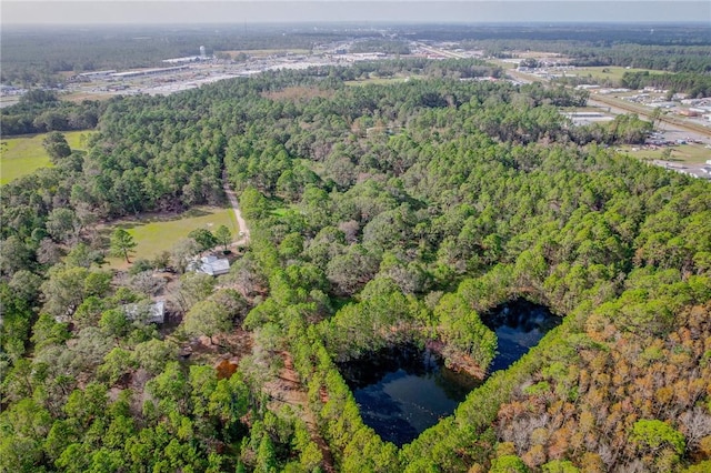 595 Sawdust Trl, Waycross, GA 31503 - photo 13