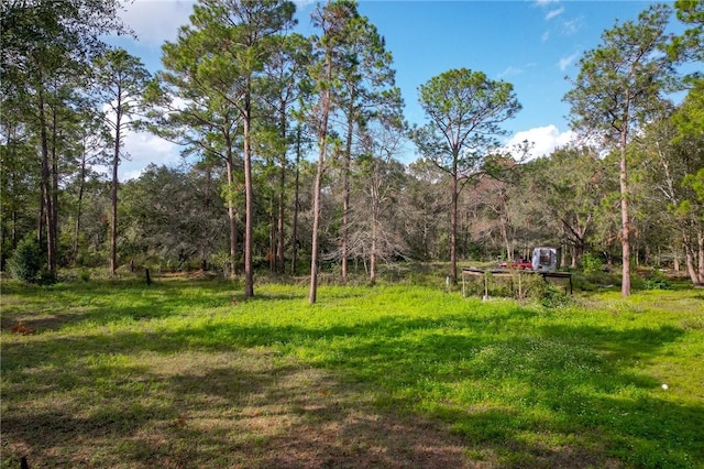 595 Sawdust Trl, Waycross, GA 31503 - photo 4