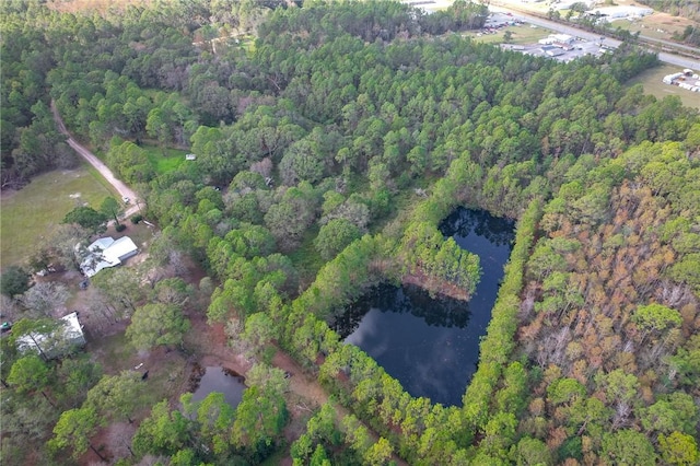 595 Sawdust Trl, Waycross, GA 31503 - photo 18