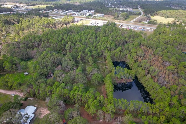 595 Sawdust Trl, Waycross, GA 31503 - photo 19
