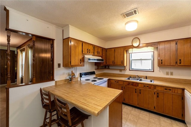 2320 Ben Hill Ave, Waycross, GA 31501 - kitchen featuring white appliances, under cabinet range hood, a sink, a textured ceiling, and brown cabinetry